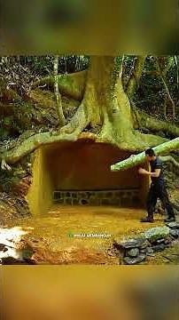 Building a Jungle House from Stone and Wood Using Traditional Techniques