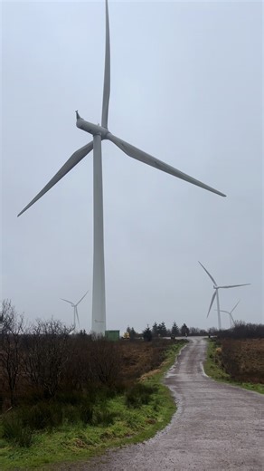 Preparing for Week 7 of College Apprenticeship