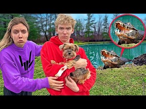 ALLIGATOR ATTACKED MY DOG!! will he be okay…
