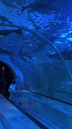 เที่ยวนครสวรรค์ที่บึงบอระเพ็ด