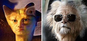 Watch This AI Algorithm Change Humans into Animorphs