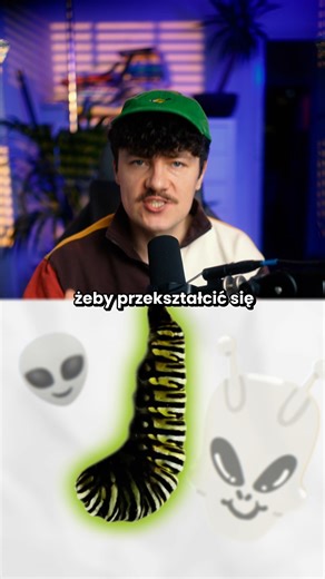 Konrad Skotnicki | Czy motyle pamiętają, że były gąsienicami? Moja robocza hipoteza jest taka, że motyle są kosmitami, no bo jak inaczej uzasadnić fakt, że... | Instagram