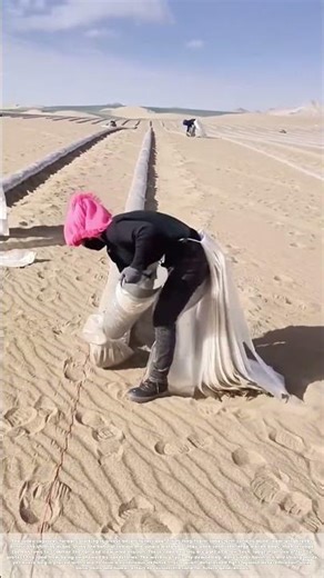 Battling the Dunes: How Farmers Use Sandbags to Fight Desertification