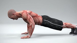 A 3d Animation of a Muscular Athlete Performing a Push-up - AI Generated Stock Footage - Video of core, push: 383897614