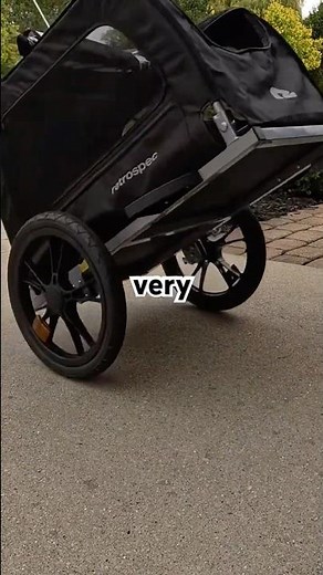 The Best Bike Trailer For Your Pet