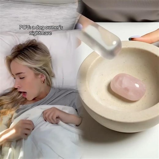 The real reason I lock my doors every night 🔒 #dogs