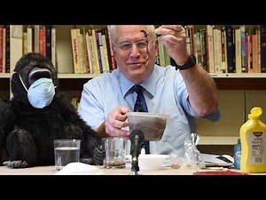 Clean Vessels | Bible and Object Lesson for Children