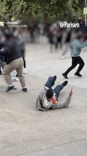 Le concert gratuit de L2B a été annulé après des mouvements de foule provoqués par une affluence massive de spectateurs. Lors des débordements, un policier a été pris à partie et frappé au sol.