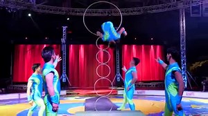 Garden Bros Circus on Reels