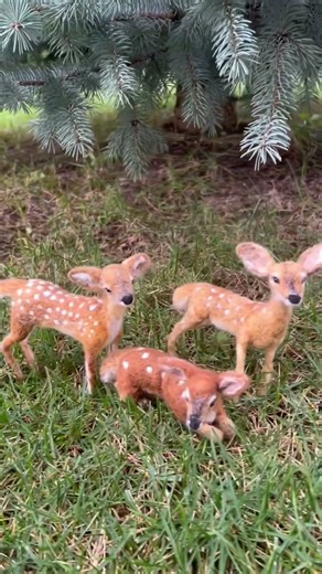Tiny Fawns Under a Pine Tree 🦌 Handcrafted Cuteness in Seconds!