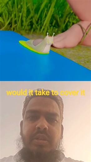 Can a Slug Turn the Ground Into a Slip-and-Slide? 🤔🐌 #Shorts