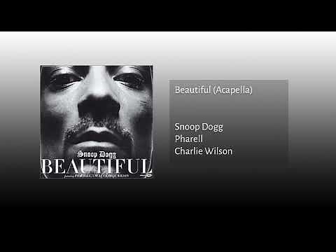 Snoop Dogg - Beautiful ft Pharrell Williams & Charlie Wilson (Acapella)