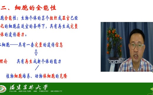 基因的表达与调控-真核生物基因调控-细胞的全能性-茶创201级