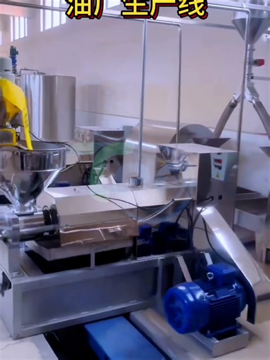 Oil Pressing Production Line Overview