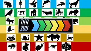 TierZoo | Know Your Meme