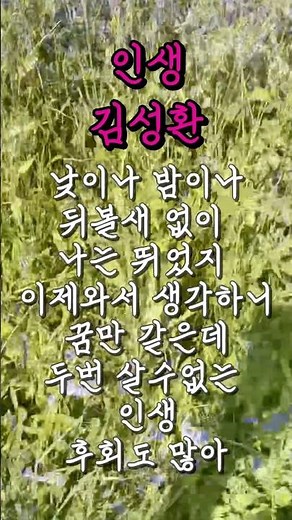 크으으으….역시🌸김성환노래,인생,트로트메들리,트롯,7080노래,5060노래,드라이브노래