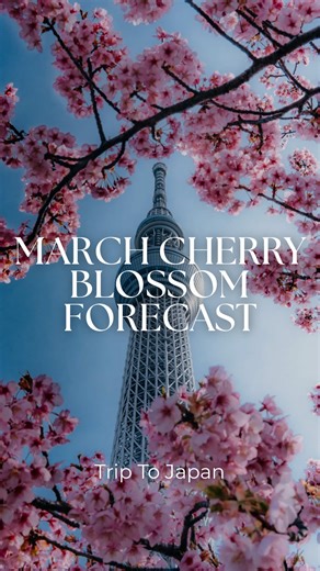 Cherry Blossom Forecast 2026: Plan Your Japan Trip!