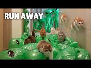 Extreme Alien Escape Challenge