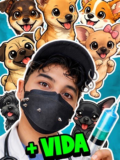 Dando Más Vida a Mis 8 Perritos: Parte 1