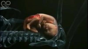 106K views · 192 reactions | From Sperm to baby formation complete video | Doctor HD | Facebook