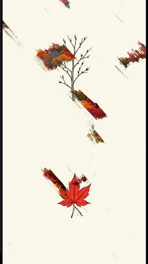 Evergreen vs Deciduous—What Should You Use?