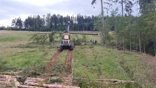 163K views · 563 reactions |  | Harvester Forwarder & More | Facebook