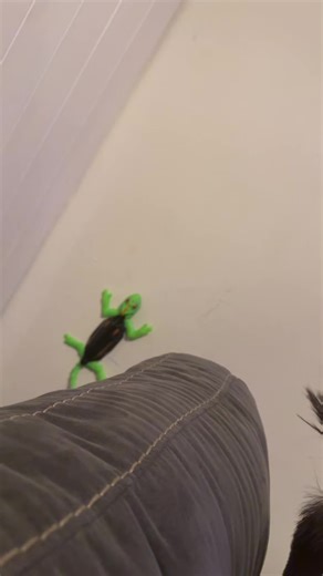 Divertido Control Remoto de Lagarto y Ventanas Ahorro Energético