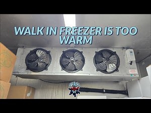 WALK IN FREEZER IS TOO WARM