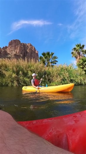 🚣🌵From towering Saguaro cacti to striking mountain views, you can paddle along with a perfect backdrop on the water at Saguaro Lake Guest Ranch. https://bit.ly/4b6Ui6Q | ABC15 Arizona