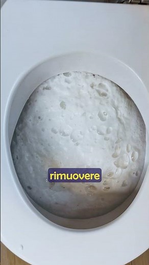 Come pulire e togliere le incrostazioni dal WC✨💧