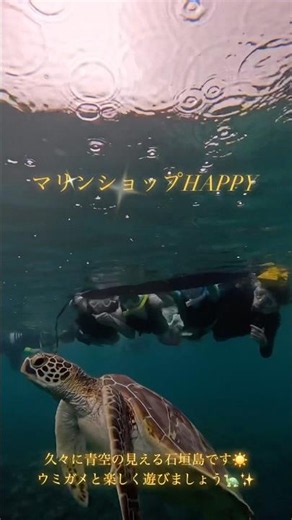 石垣島ウミガメシュノーケルツアー🏝️ ウミガメ遭遇率99.99%🔥#ウミガメ #ウミガメシュノーケル #ウミガメシュノーケリング#シュノーケル#シュノーケリング#沖縄#石垣島