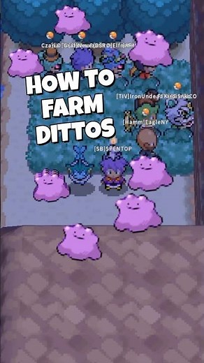 👾 HOW TO FARM DITTO 👾 POKEMMO JOHTO 👾 BEGINNERS GUIDE 👾 #pokemmo #pokemon #pokemonmmo