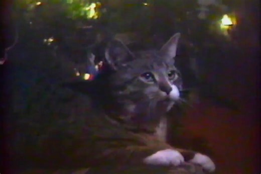 GAKHED on Instagram: "my memories may fade, but I'll never forget #music #indie #song #weirdcore #weirdmusic #90s #2000s #analogwholesome #liminal #liminalspace #dreamcore #nostalgic #vhs #retro #kitten #cat #vaporwave #christmas #winter #nostalgiacore"