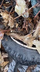 #fraserriverjunkyard #barbietiktok #marinedebris #barbie #vintage #fraserriver #8ballbeach #river #wickedgame #beachcombing #treasure #wallet #oldfashion | Alison Patton