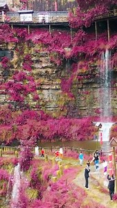 3.2K views · 152 reactions | Located in Shanxi, this small village is famous for its unique living environment and beautiful landscapes. Many residents live on the hillside, their houses built on cliffs surrounded by green mountains and flower blossoms, featuring the scenery that conjures up a wonderland. #Travel #SharedFuture10Years | China Plus Culture | Facebook