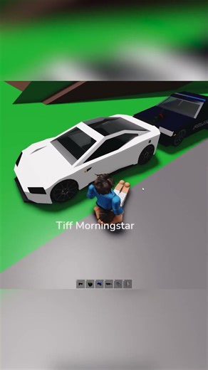 robbing someone as a FAKE COP on BROOKHAVEN RP