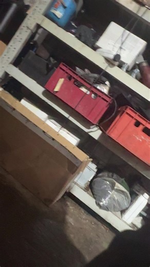 Exploring the Mercedes W124: A Classic Collector's Dream