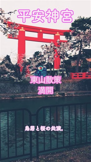Kyoto Higashiyama Walk 🌸 Overwhelmed by Heian Jingu Cherry Blossoms and the Massive Chion-in Temple