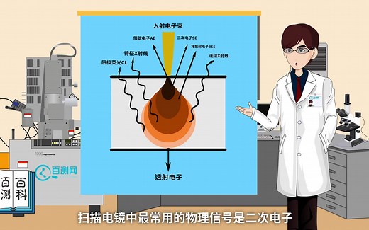 国内首创！六分钟动画带你学懂扫描电镜 SEM——百测百科（百测网）