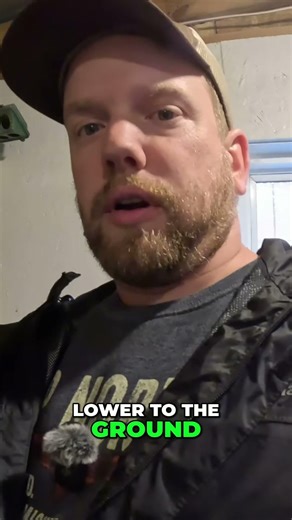 Brooder Plates are MUCH Safer #brooder #freerangechickens #homestead