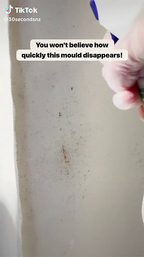 Instant Mould Removal with 30 SECONDS Curtain Cleaner