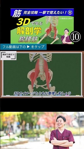 What nerves innervate the iliopsoas muscle? A physical therapist reveals the truth about the ilio...