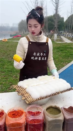 Explore Traditional Fermented Tofu Recipes from China