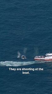 11K views · 155 reactions | What does the so-called Libyan coastguard...