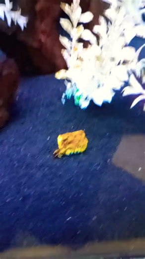 #memes #funny #spongebob #sad #meme #spongebobsquarepants #spongebobmemes #spongebobthemesong #cry