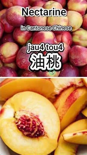 Learn Nectarine in Cantonese | 油桃 (yàuh tòuh)