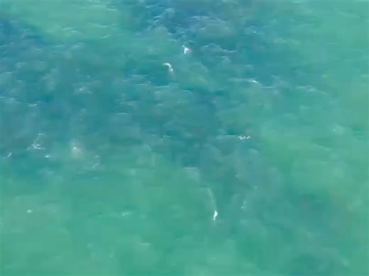 Village of East Hampton on Reels