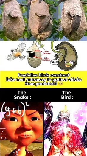 #makeuptransition 🧠