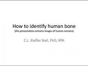How to Identify Human Bone
