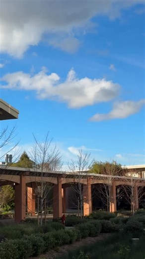 Art is everywhere! In the clouds above campus, in the doodles in your notebook, and in the start of a new semester. Here’s to spring, creativity, and all the ways Gladiators show up and make meaning. ☁️✏️ #chabotcollege #art #spring | Chabot College